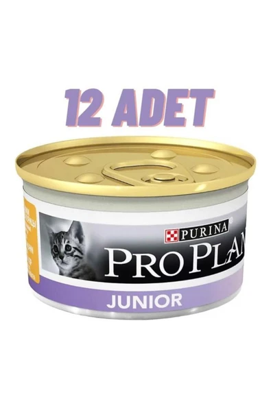 Pro Plan Junior Chicken Yavru Kedi Konservesi 12x85 Gr ürün görseli 1