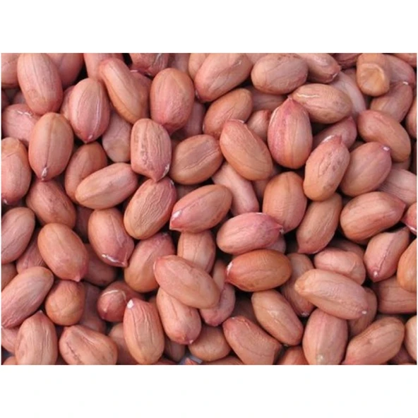 Osmaniye Çiğ Fıstık İçi Duble 1 KG ürün görseli 1
