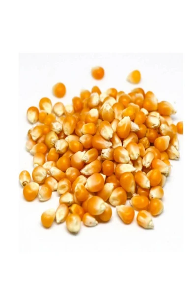 SELKUR  Cin Mısır 1KG - Resim 5