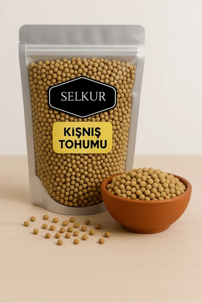 SELKUR  Kişniş Tohumu,aşotu, Kinzi, 100gr ürün görseli 1