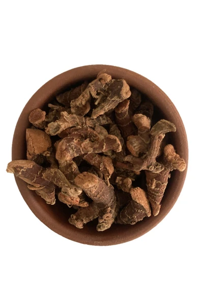 SELKUR  Havlıcan 100GR (KÖK) - Resim 4
