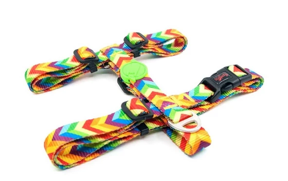 Tailpetz H-tip Rainbow S Küçük Irk Köpek Göğüs Tasması (Göğüs 32 cm x 51 cm) ürün görseli 1