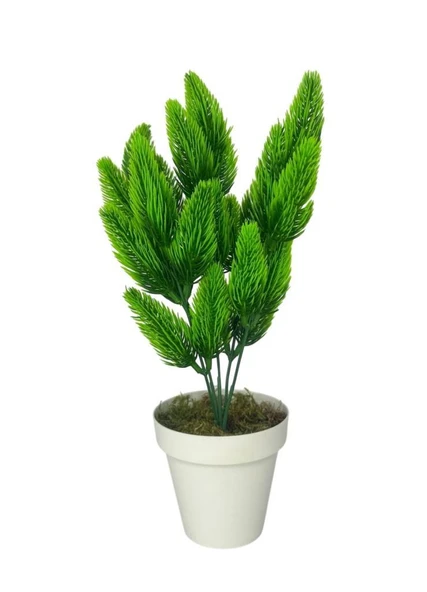 Nettenevime Yapay Çiçek Krem Saksıda Yeşil Kozalaklı Çam Demeti ürün görseli 1