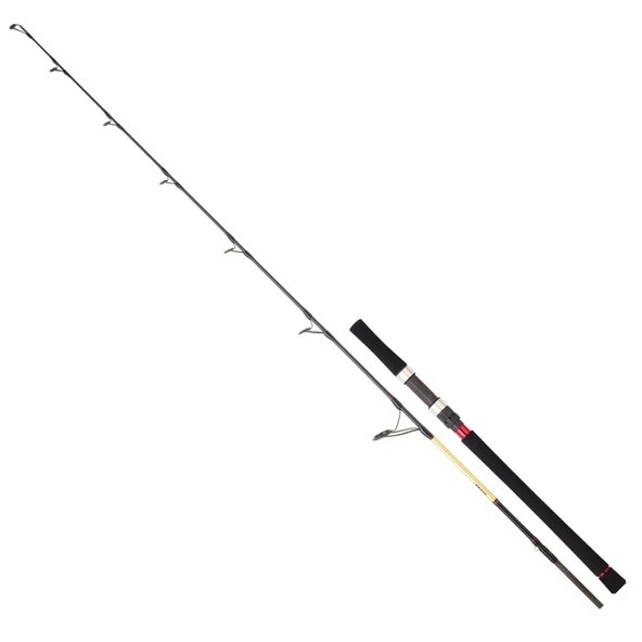 Daiwa Grandwave 199 cm Max 220 gr Jig Kamış ürün görseli 1