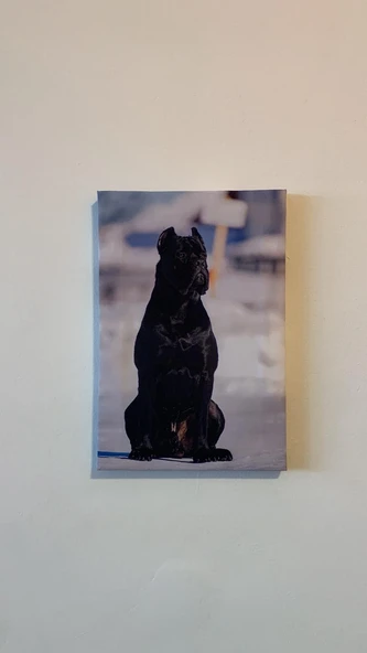 Siyah Erkek Doberman Natürel Tasarım Ahşap Çerçeve Ev İşyeri Ofis Duvar Kanvas Tablo ANML2 ürün görseli 1