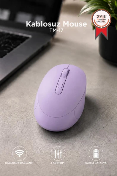 Mouse Çift Modlu Sessiz Kablosuz Fare TM17 Mor ürün görseli 1