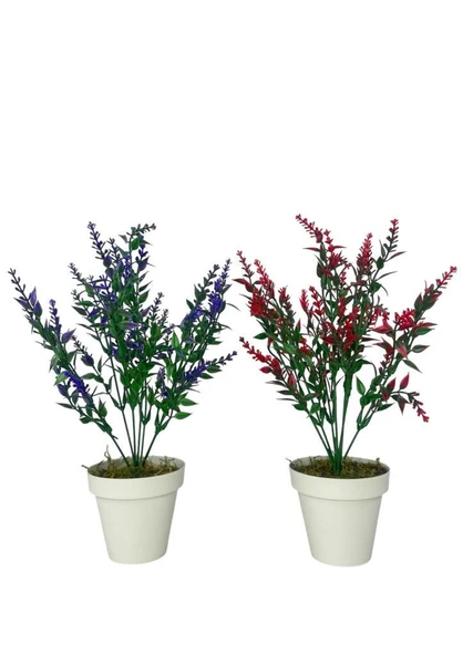 Nettenevime Yapay Çiçek Krem Saksıda 2 Adet Lavanta Mor Ve Kırmızı Renk 28cm ürün görseli 1