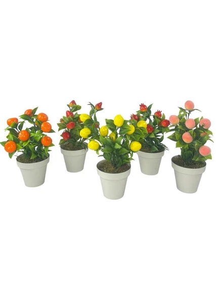 Nettenevime 5li Set Yapay Çiçek Mini Saksıda Meyveler 20cm ürün görseli 1