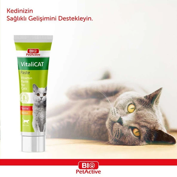BİOPET ACTİVE VITALICAT PASTE (VİTAMİN PASTA) 100ML - Resim 2