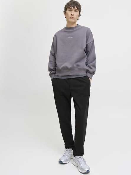 JACK JONES Erkek Günlük Pantolon 12282533 ürün görseli 1