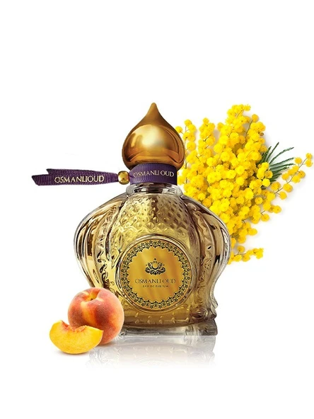 Osmanlı Oud Warriors Aysel Edp 65 ML Kadın Parfümü – Meyveli Çiçeksi – 4445 ürün görseli 1