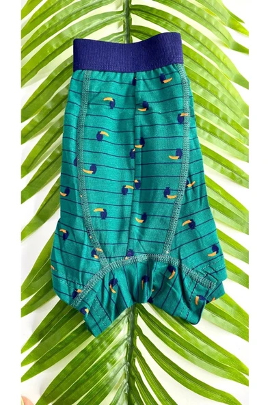 NİVEMESHOME 4480 ERKEK LYCRALI  COTTON BOXER YEŞİL DESENLİ L BERRAK ürün görseli 1