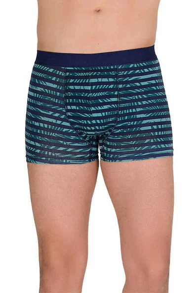 NİVEMESHOME 4480 ERKEK LYCRALI COTTON BOXER YEŞİL LACİVERT DESENLİ L BERRAK ürün görseli 1