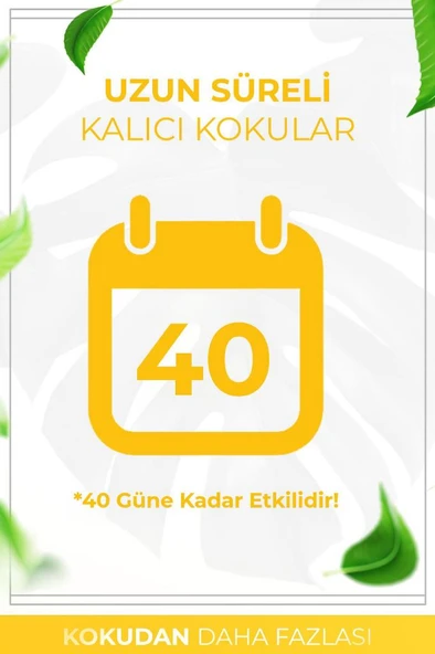 Amber - Amber Kare Bambu Çubuklu Oda Kokusu 100ml - Resim 4