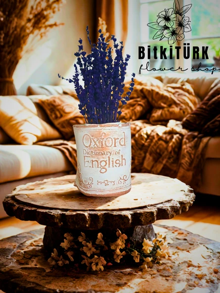 BitkiTÜRK- Kitap beton saksıda lavanta - Resim 4