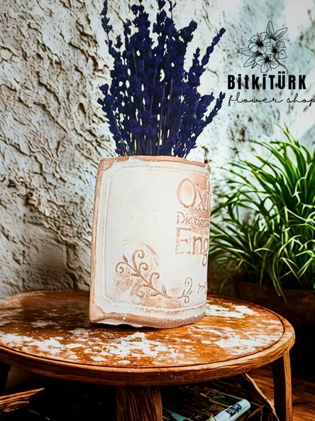 BitkiTÜRK- Kitap beton saksıda lavanta - Resim 2