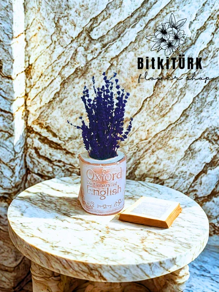 BitkiTÜRK- Kitap beton saksıda lavanta ürün görseli 1