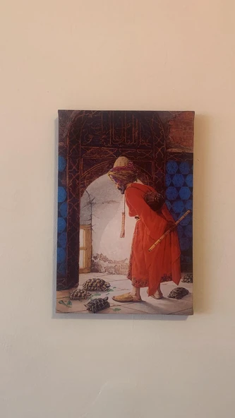 Kaplumbağa Terbiyecisi Natürel Tasarım Ahşap Çerçeve Ev İşyeri Duvar Kanvas Tablo ürün görseli 1