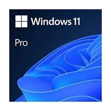 Microsoft Windows 11 Pro Oem Ömür Boyu Elektronik Lisans ürün görseli 1