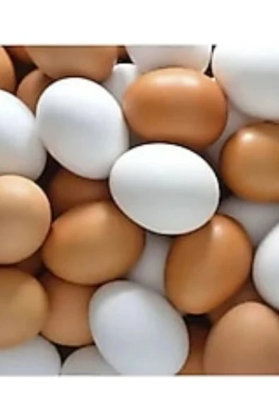 Sahte Yumurta 40 Adet Karışık Renk ürün görseli 1