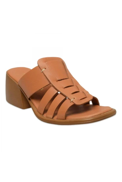 MAMMAMİA KADIN TERLİK - Resim 6