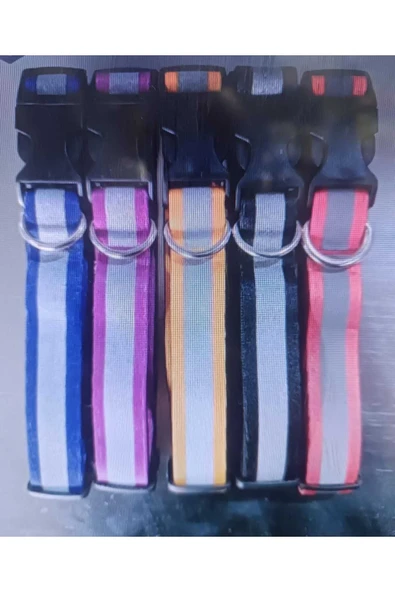 DOCA  Reflective Dog Collar medium boyun tasması ürün görseli 1