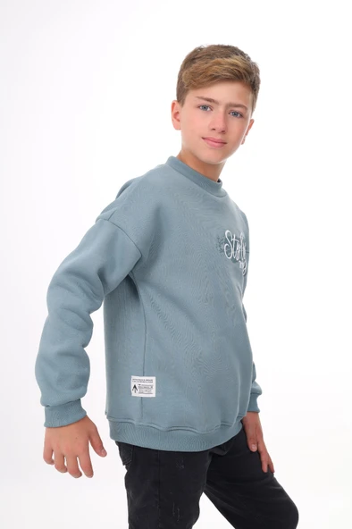 Toontoy Erkek Çocuk Baskılı Sweatshirt - Resim 8