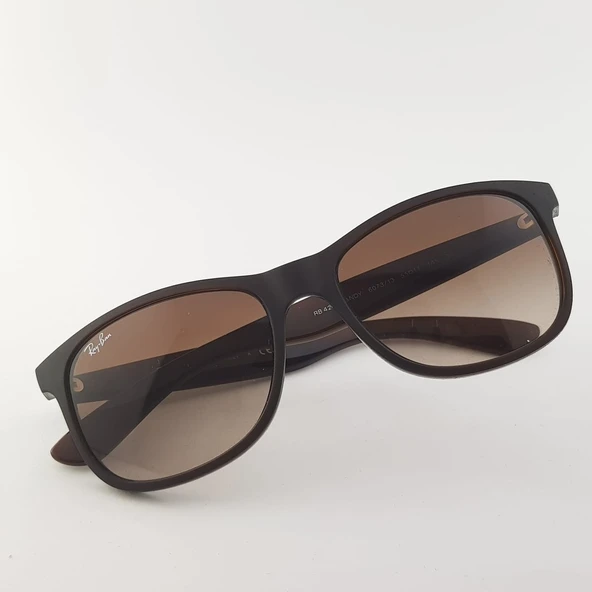 Ray-Ban RB4202 6073\13 Unisex Güneş Gözlüğü ürün görseli 1