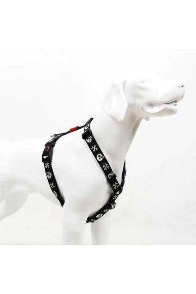 Tailpetz H-tip Boo XS Çok Küçük Irk Köpek Göğüs Tasması (Göğüs 23 cm x 38 cm) ürün görseli 1