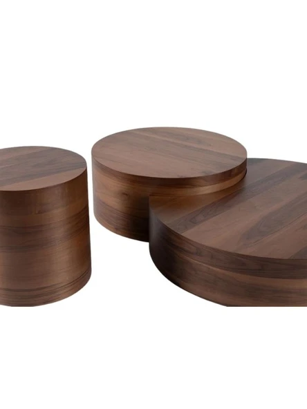 Walnut Orta Sehpa Takımı - Resim 12