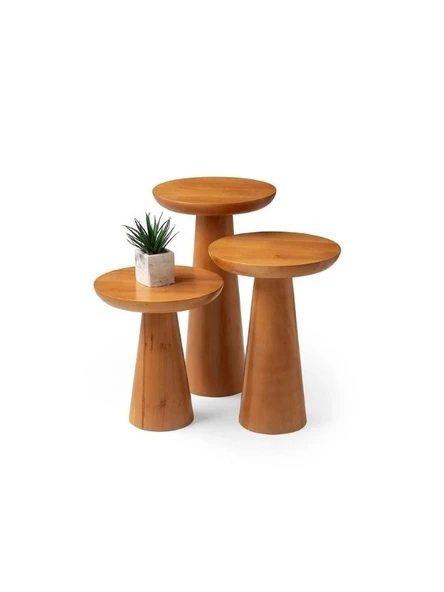 Mushroom 3'lü Zigon Sehpa - Resim 8