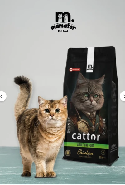 Mamator Cattor Tavuk Etli Açık Yavru Kedi Maması 1 Kg ürün görseli 1