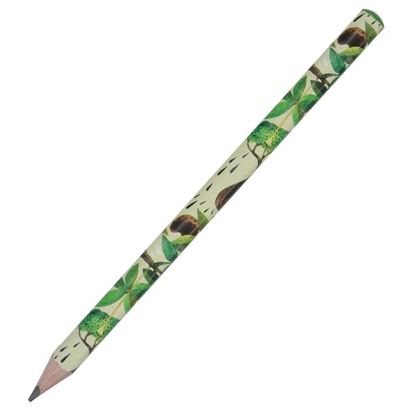 Bruno Visconti Happy Graphıx 4B Üçgen Kurşun Kalem Baobab 21-0062/31 ürün görseli 1