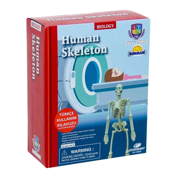 Nessiworld  Bilim Seti : İnsan İskeleti - Resim 2