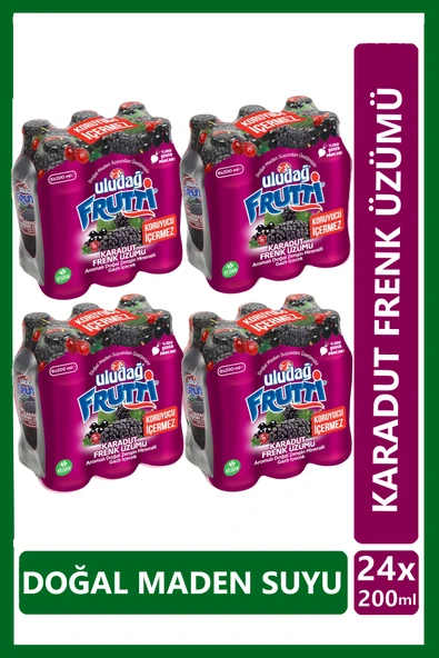 Uludağ Frutti Karadut Frenk Üzümü Aromalı Maden Suyu 200 ml x 24 adet ürün görseli 1