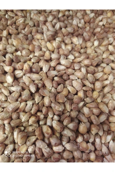 Kuruyemiş Mısır Kavurgası  250 gr ürün görseli 1