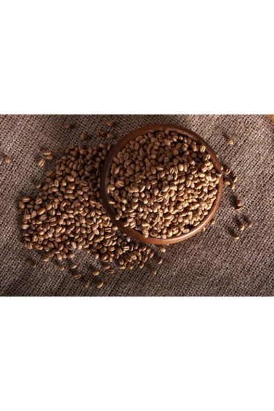 Bİ BADEM KURUYEMİŞ Buğday Kavurgası 500 Gr ürün görseli 1