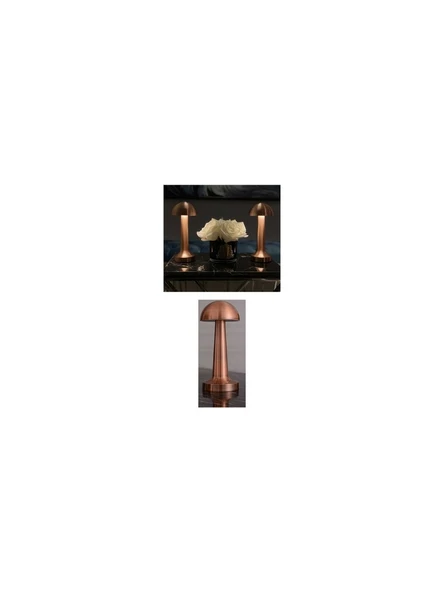 CT-8430 Lızbon Dokunmatik Masa Lambası 3 Renk Bronz ürün görseli 1