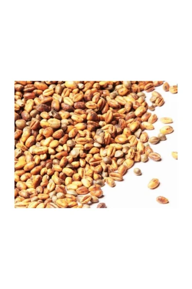 BASGİMPA Bugday Kavurgasi 500 gr ürün görseli 1