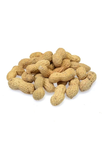 Çerezcimiz Kabuklu Fıstık [250 Gr] ürün görseli 1