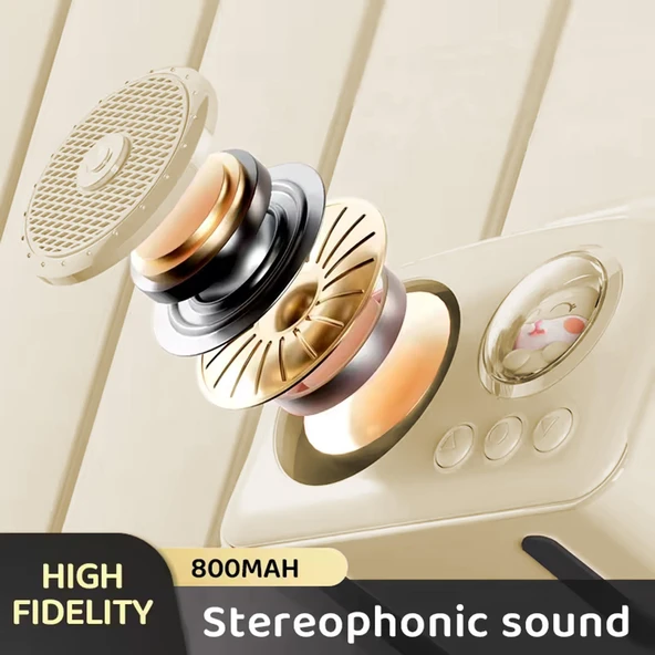 Jwin BR-220 Radyolu Bluetooth Hoparlör - Pudra - Resim 2