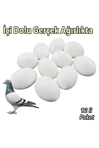 gclshop Güvercin Yumurtası 1 Adet (içi Dolu) ürün görseli 1