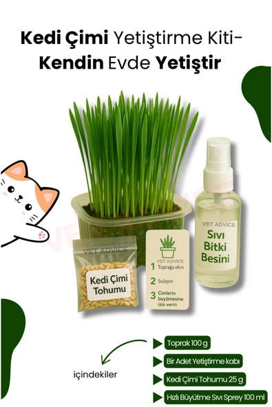 KorPet Kedi Otu Çimi Kiti – Evde Yetiştir, Pratik ve Eğlenceli Set 4 Parça ürün görseli 1