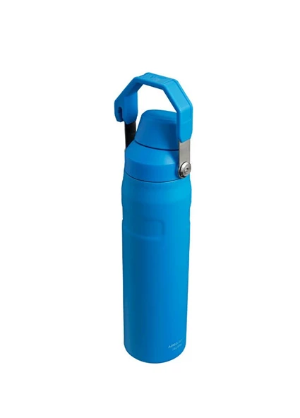 IceFlow™ Fast Flow Soğuk Su Termosu | 0.6L - Resim 5