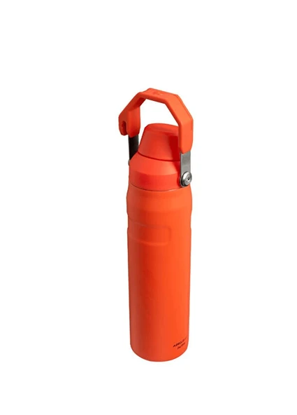 IceFlow™ Fast Flow Soğuk Su Termosu | 0.6L - Resim 2