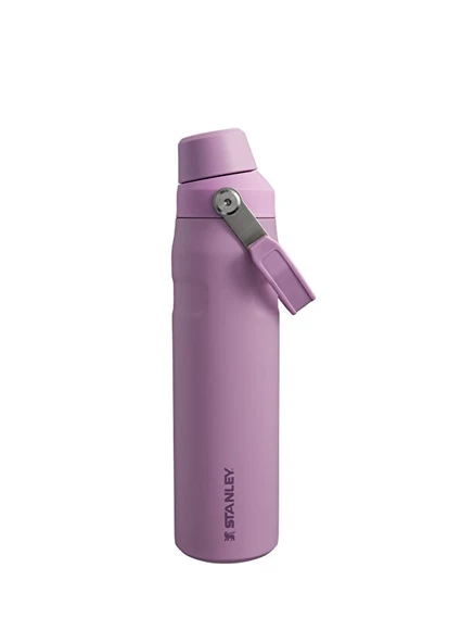 IceFlow™ Fast Flow Soğuk Su Termosu | 0.6L - Resim 7
