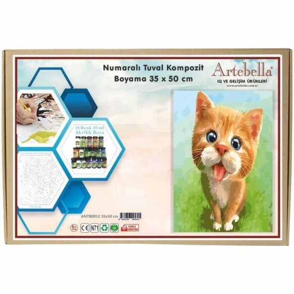 Artebella 35x50 Numaralı Kompozit Tuval Boyama kedi ANTB0012 ürün görseli 1
