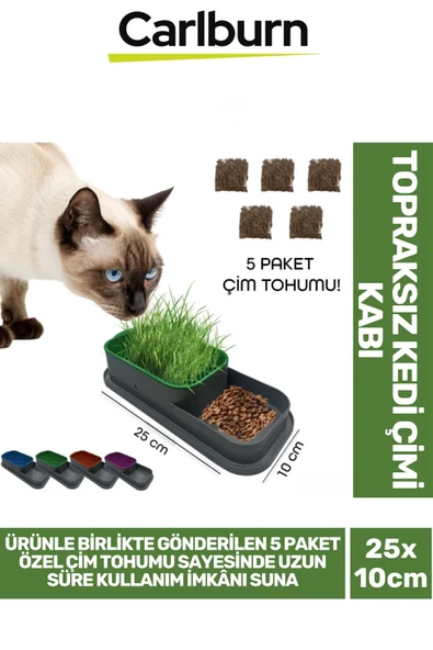 Özel Üretim 5 Adet Kedi Çimi Tohumu Topraksız Kedi Çimi Kabı 25x10cm ürün görseli 1