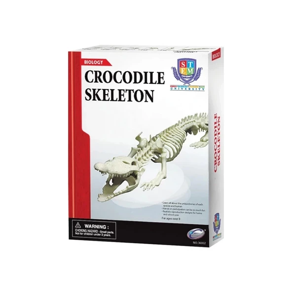 Nessiworld Timsah İskeleti Bilim Seti - Resim 2