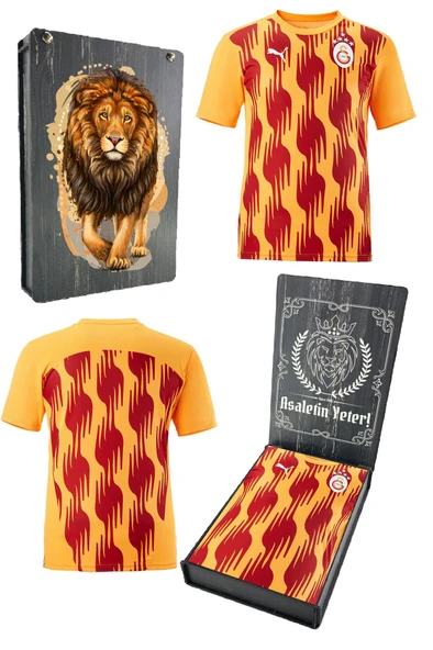 Galatasaray Orijinal Lisanslı Sıfır Yaka A Takım Antrenman 5 Yıldızlı T-Shirt Gs Aslan Baskılı Hediyelik Ahşap Kutulu ürün görseli 1
